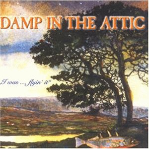 DAMP IN THE ATTIC : I WAS FLYI
