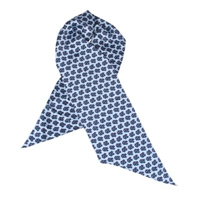 North Carolina Scarf - University of North Carolina Blue Scarf with NC Logo