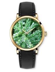 SPRAWL Aanalog Fashion Series Gold Ladies Watches of Genuine Black Leather Strap,Unique Wrist Watch for Women Girls Designed with Green branches with dew