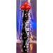 HOLLYWOOD COLUMN
