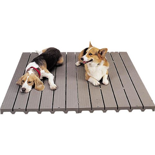 PetEdge Molded Plastic Dog Kennel Deck, 8-1/2-Pound
