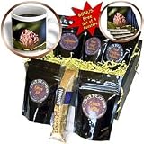 Lee Hiller Photography Hot Springs National Park Flowers - Southern Magnolia Blushing Seeds Bursting from Pod - Coffee Gift Baskets - Coffee Gift Basket