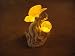 Sleeping Fairy Crackled Glass Ball Solar Garden Light