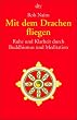 Mit dem Drachen fliegen: Ruhe und Klarheit durch Buddhismus und Meditation