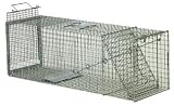 Humane Animal Box Trap, 36 x 11 x 12