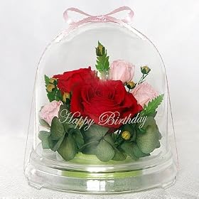 �v���U�[�u�h�t�����[�u�n�b�s�[�o�[�X�f�[�E�h�[���v���b�h