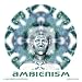 Search : Ambienism Volume One