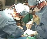 Understanding Transplant Issues Featuring Kidney and Liver Patients with Cardiovascular Disease: The Healthy Heart Persepective