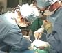 Understanding Transplant Issues Featuring Kidney and Liver Patients with Cardiovascular Disease: The Healthy Heart Persepective