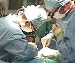 Understanding Transplant Issues Featuring Kidney and Liver Patients with Cardiovascular Disease: The Healthy Heart Persepective