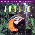 Jungle