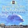 Relaxing With Nature: Swim With the Dolphins