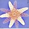 i love SPITZ !!! �F�j