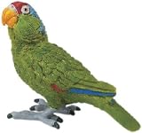 Green Parrot