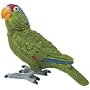 Wings of the World - Green Cheeked Amazon Parrot