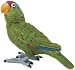 Wings of the World - Green Cheeked Amazon Parrot
