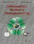 Information Systems Reengineering