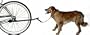 DoG jOg Dog Leash For Bike Ride Attachment