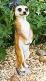 Standing Meerkat (Small)