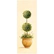 WeatherPrint Ball Topiary Print