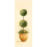 WeatherPrint Ball Topiary Print