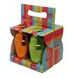 Lush Life Set of 4 Mini Cocktail Shakers, Multi Color