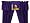 Minnesota Vikings