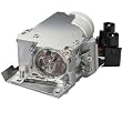 Replacement Lamp for XJ-S30/35