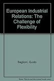 European industrial relations : The challenge of flexibility