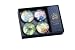 Boston International Living Victoriously Glass Magnets in a Gift Box, Set of 4 Assorted Designs, 2-Inches Diameter Each (LV11046)