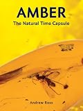 Amber: The Natural Time Capsule