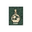 Eastern Illinois Univ "Eiu" Soccerball Charm/Pendant