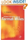 Invitation to the Mathematics of Fermat-Wiles