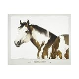Arizona Paint Poster Print