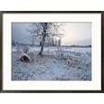 Winter Scene with Snow-Covered Grasses and Tree Next to Frozen Stream Collections Framed Photographic Poster Print by Mattias Klum, 30x24