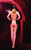 The Slave Path: (A BDSM Novel)
