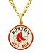 Boston Red Sox Chain Necklace with MLB Team Logo Pendant