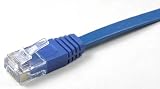 ケーブルダイレクト カテゴリ 6 フラットLANケーブル UTP ストレート結線 より線 青 1.0m C6-F14-BL010