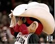 Texas Tech Red Raiders Mascot 8x10 Photo