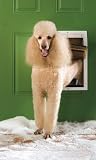 Extreme Weather Pet Door - Large