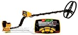Garrett Ace 350 Metal Detector