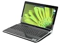Dell Studio XPS 1640 Laptops pack the power you need for work or play, Intel Core 2 Duo T9800 (6MB cache/2.93GHz/1066Mhz FSB), 4GB DDR3 SDRAM 1066MHz (2 DIMMs), 500GB Drive (7200RPM), 1GB Radeon HD 4670, 16 In Edge to Edge HD Widescreen WLED LCD (1366x768), Blu-ray Disc Combo (DVD+/-RW + BD-ROM), Windows Vista Ultimate 64 Bit, WiFi Link 5100 802.11a/g/n Card, 6 Cell Battery, 370 Bluetooth Module, High Def Audio 5.1 Surround Sound, Integrated 2.0 MP Web Cam, Obsidian Black