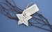 New Cast Paper Art Ornament-Star Recycled Cotton Fiber Flowers Wildflower Seeds Decoration