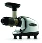 Omega J8005 Nutrition Center Single-Gear Commercial Masticating Juicer, Chrome and Black