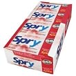 Xlear - Spry Sugar Free Gum Cinnamon, 20 packs