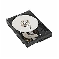 Western Digital 1600AAJS 160 GB 8,9 cm (3,5 Zoll) interne Festplatte SATA II 7200RPM 8MB Cache
