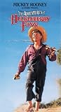 The Adventures of Huck Finn (1939)