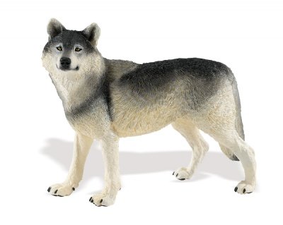 Sales Safari Ltd. Wolf