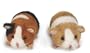 Ganz Li'l Guinea Pigs Stuff Animals Set of 2