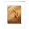 Gallery Frame - White (11x14)